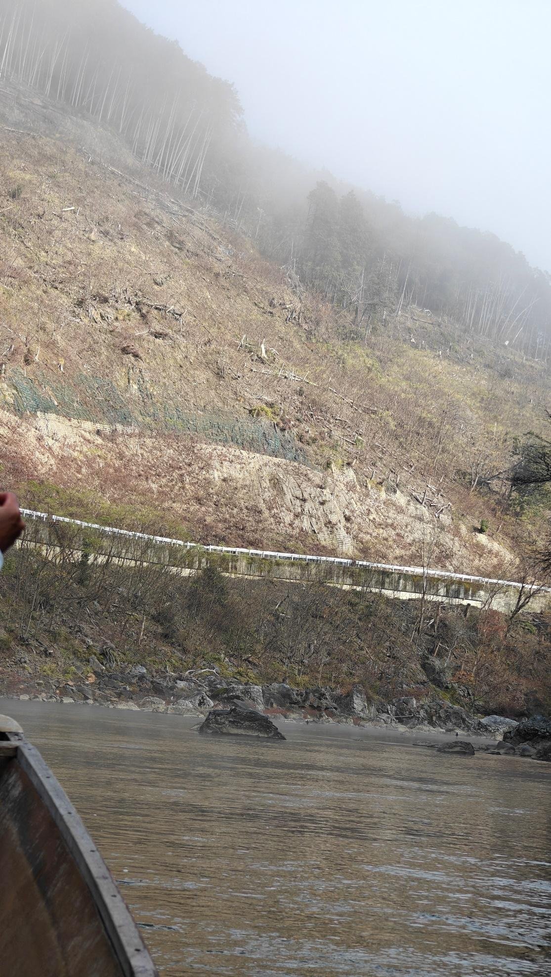 Foggy hillside with barren trees and misty river