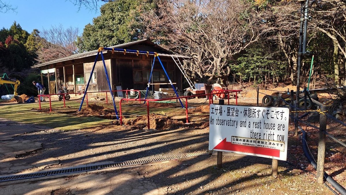 Forest construction site with building