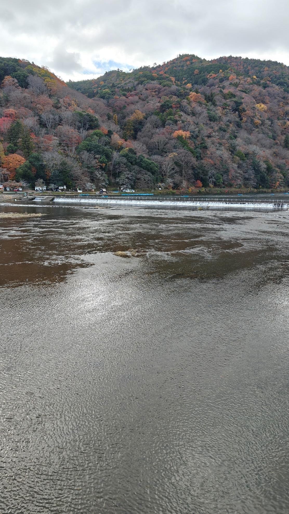 Forest-covered mountain with autumn foliage by a calm river