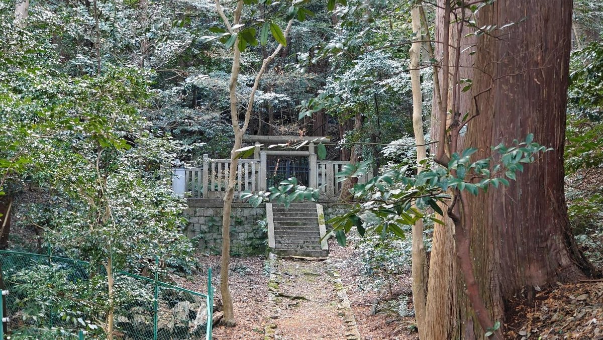 Forest path leading to a small stone shrine