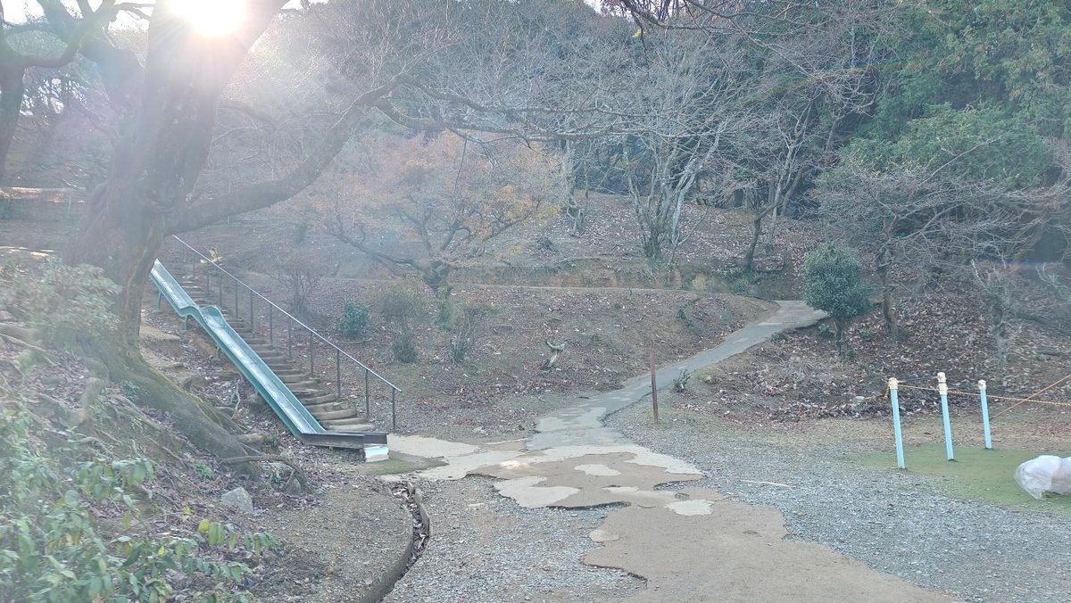 Forest path with slide and sunlight