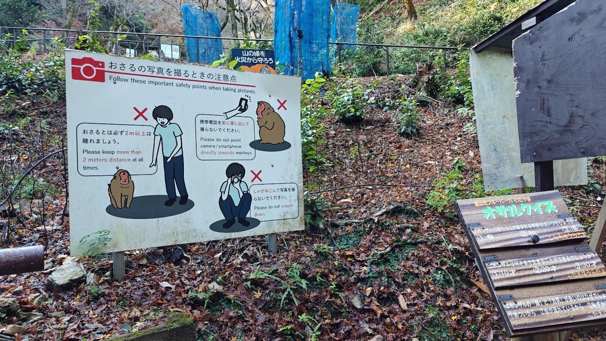 Forest sign with monkey safety tips