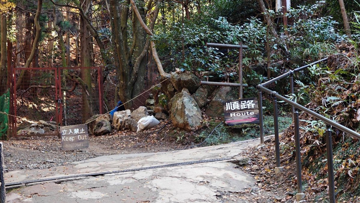 Forest trail with 'Route' sign