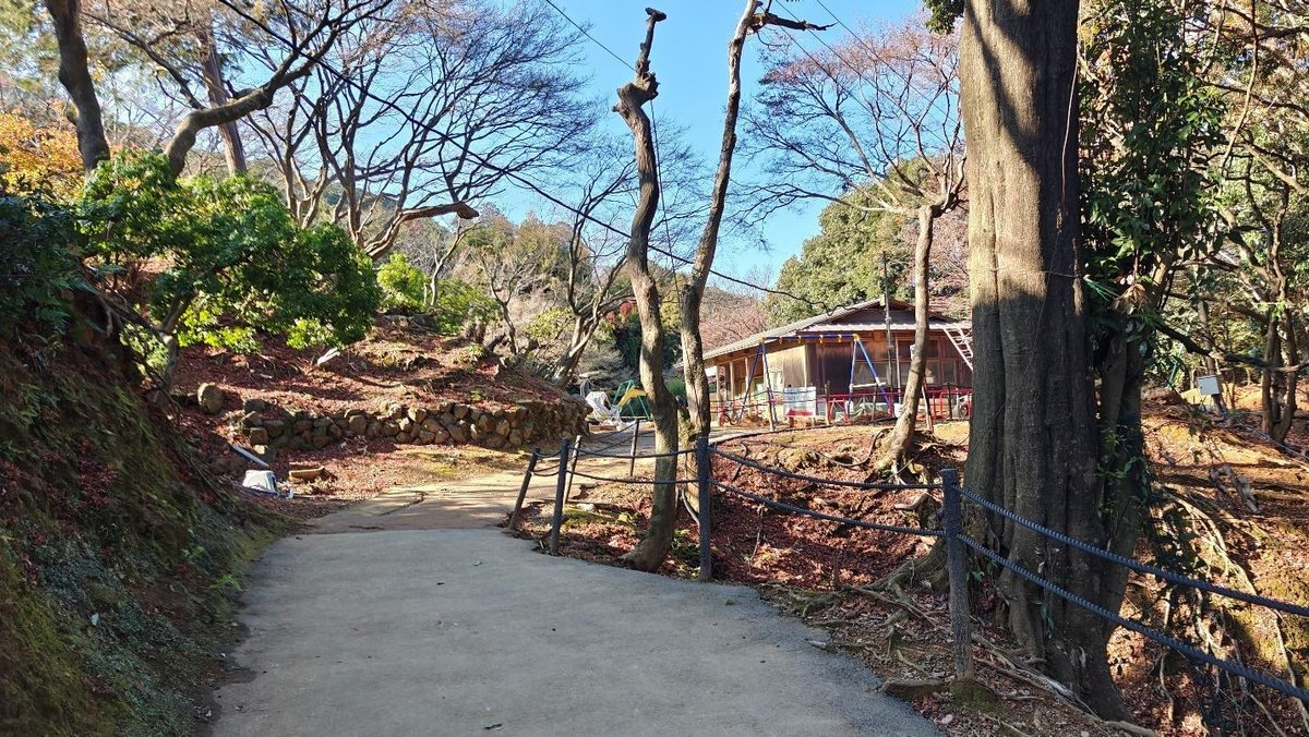Forest trail with rustic building