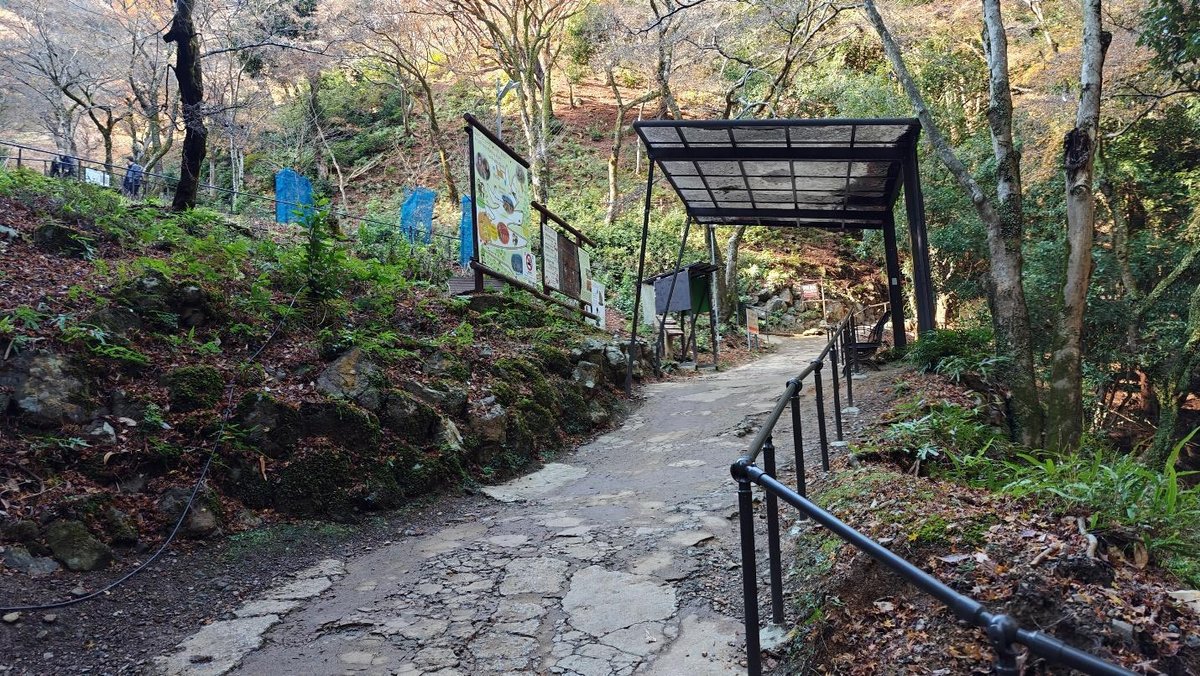 Forest trail with signs and canopy