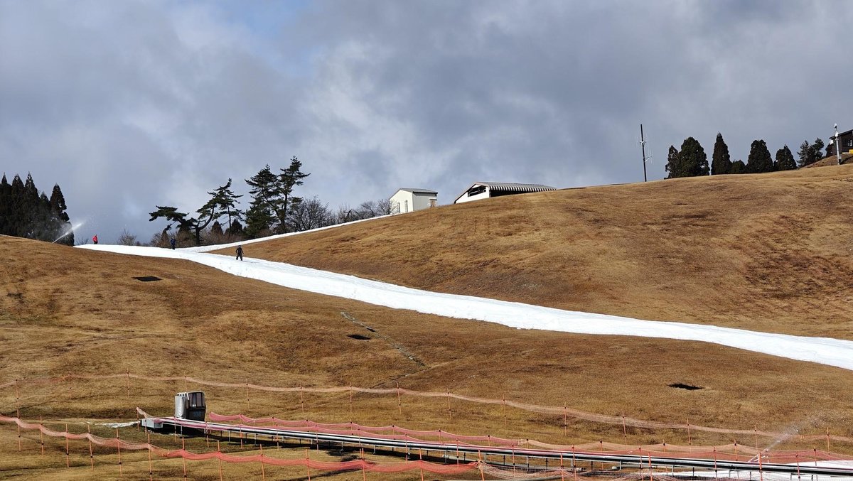 Hillside ski slope with snow and trees