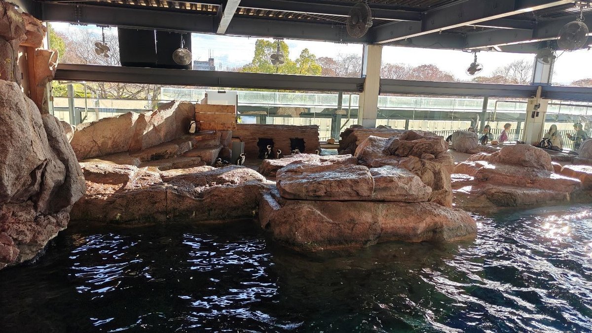Indoor penguin exhibit with rocky terrain and water
