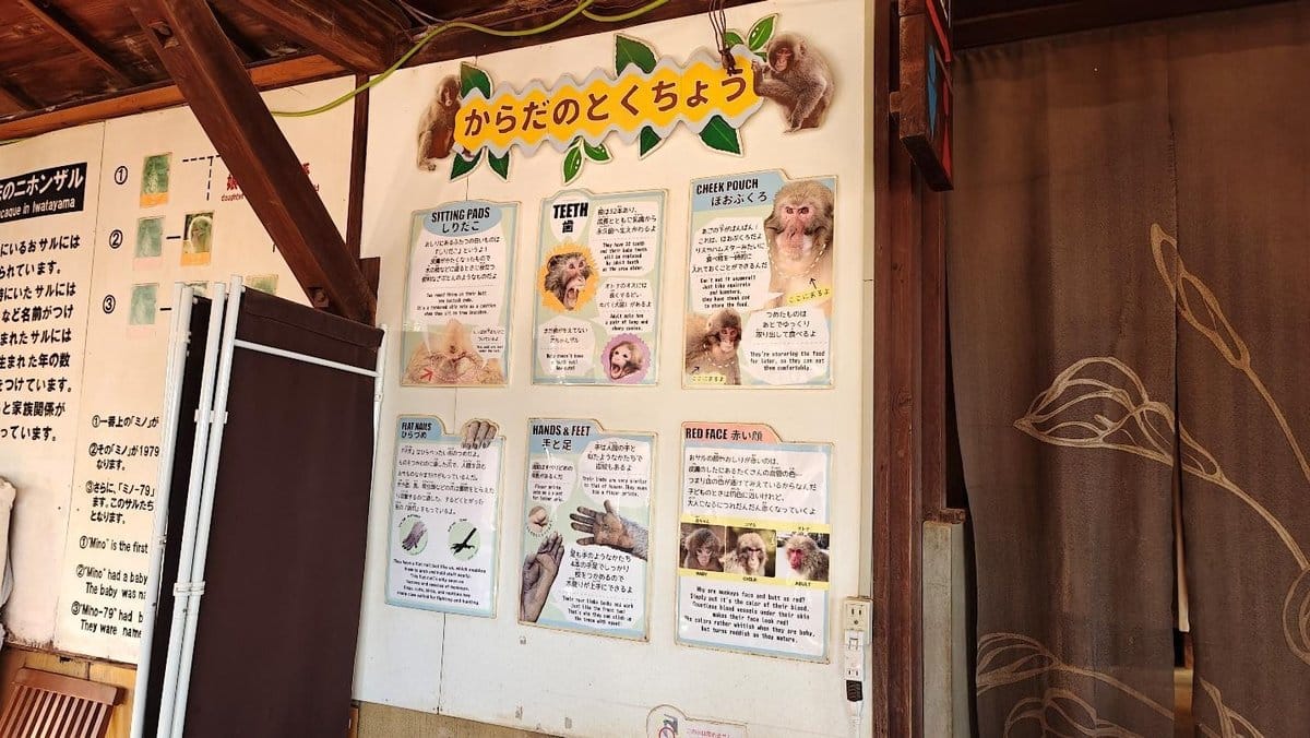 Informational animal poster display