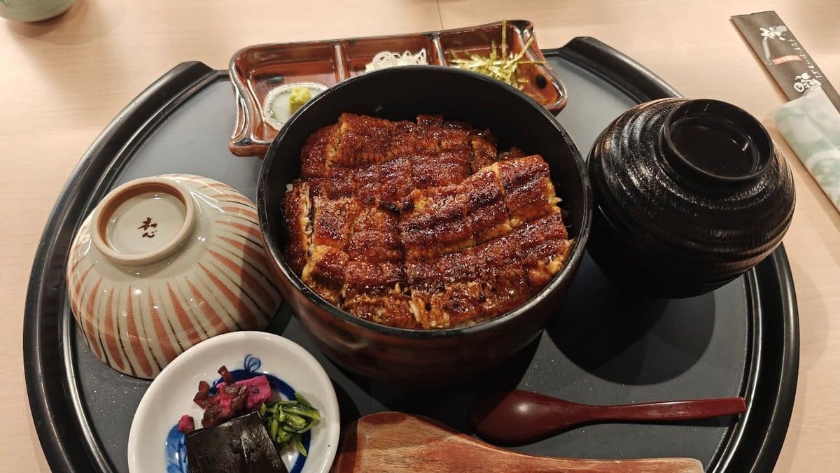 Japanese eel rice set on tray