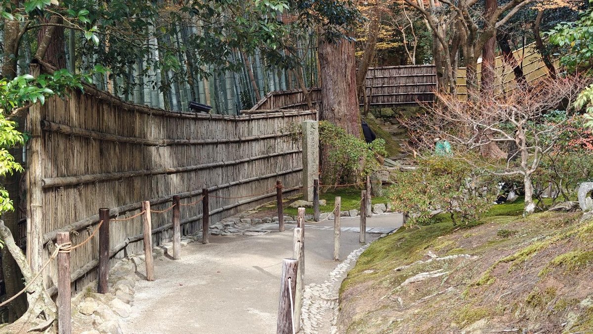 Japanese garden path with bamboo fence and lush greenery