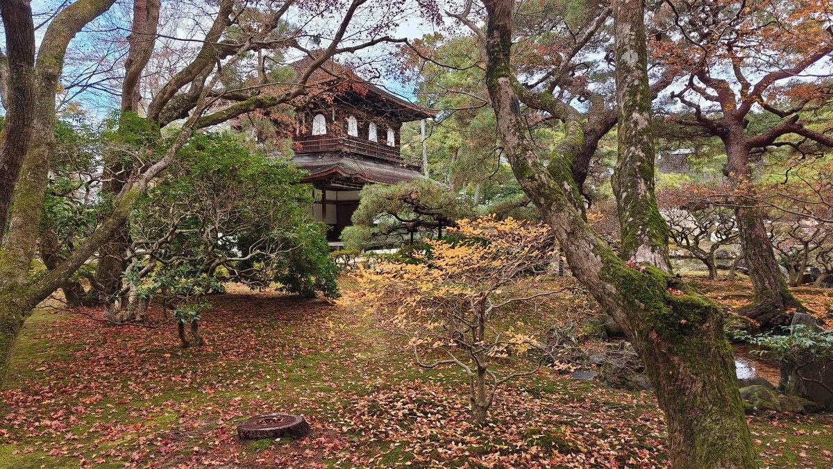 Japanese garden with autumn foliage and traditional building