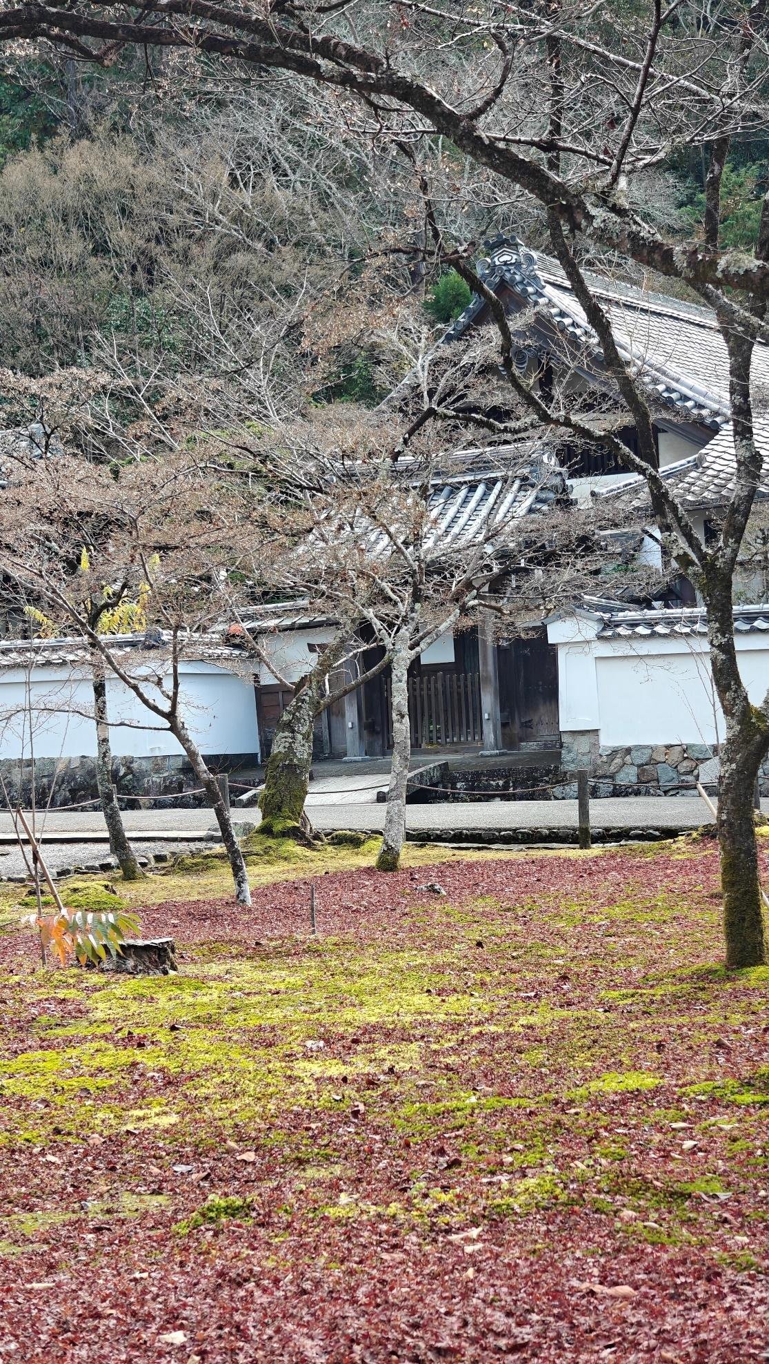 Japanese garden with bare trees and traditional building
