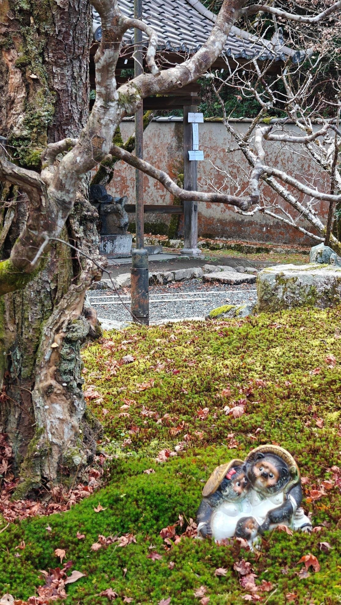 Japanese garden with moss, statue, and bare tree branches