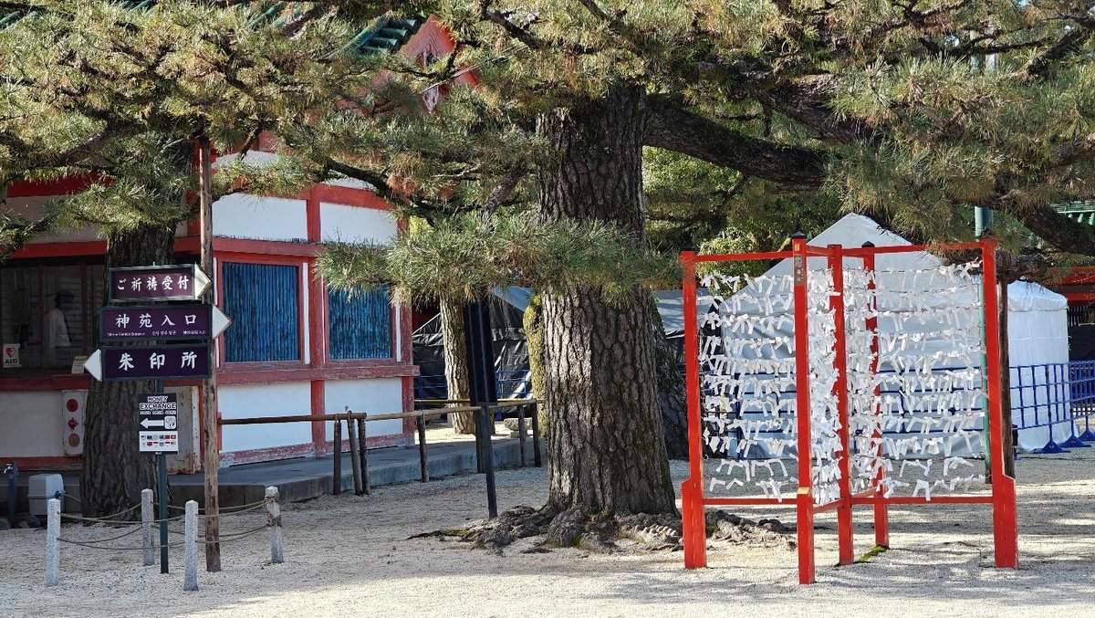 Japanese shrine entrance with fortune papers on display