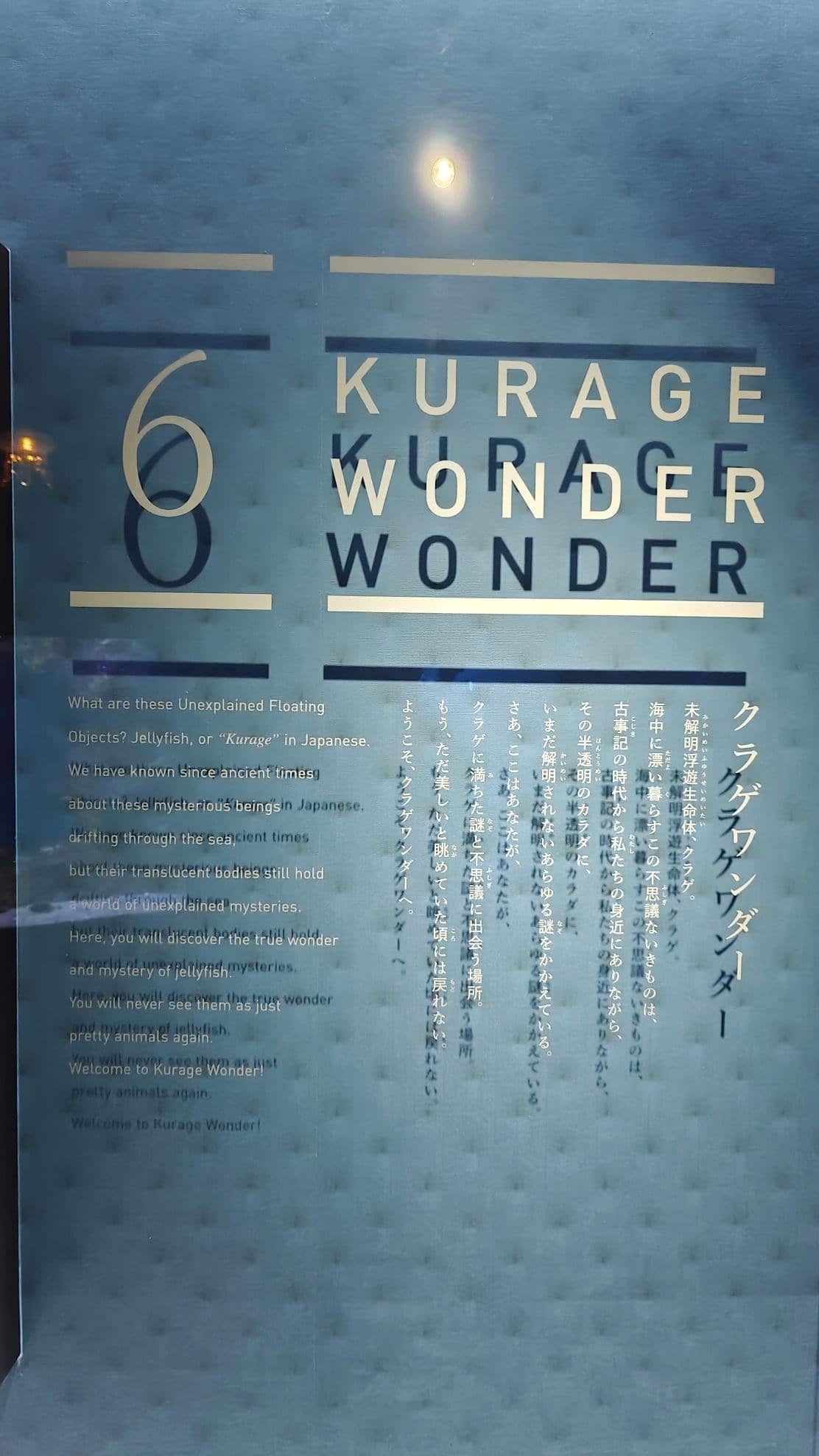 Kurage Wonder display with text in English and Japanese