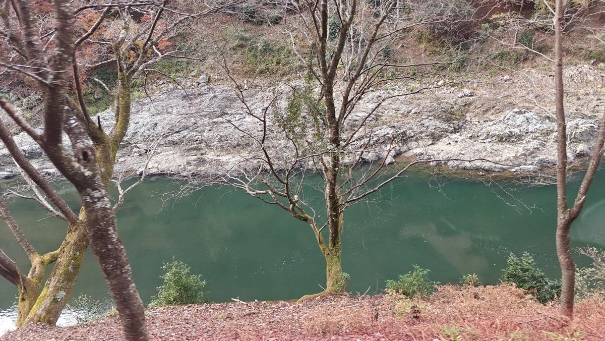 Leafless trees by a tranquil river with rocky banks