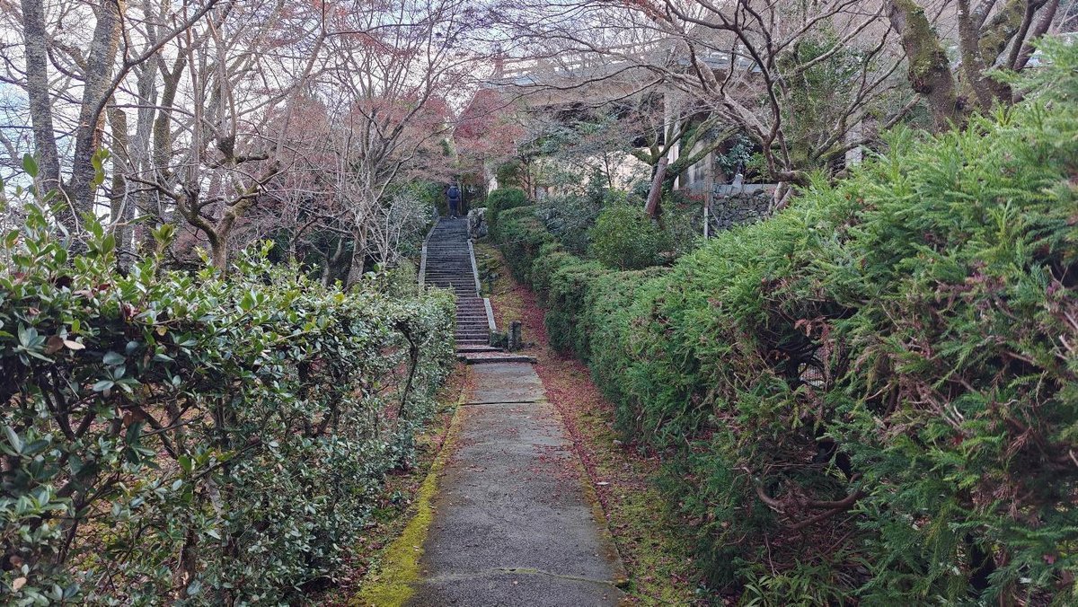 Leafy path lined with hedges and trees in a serene garden