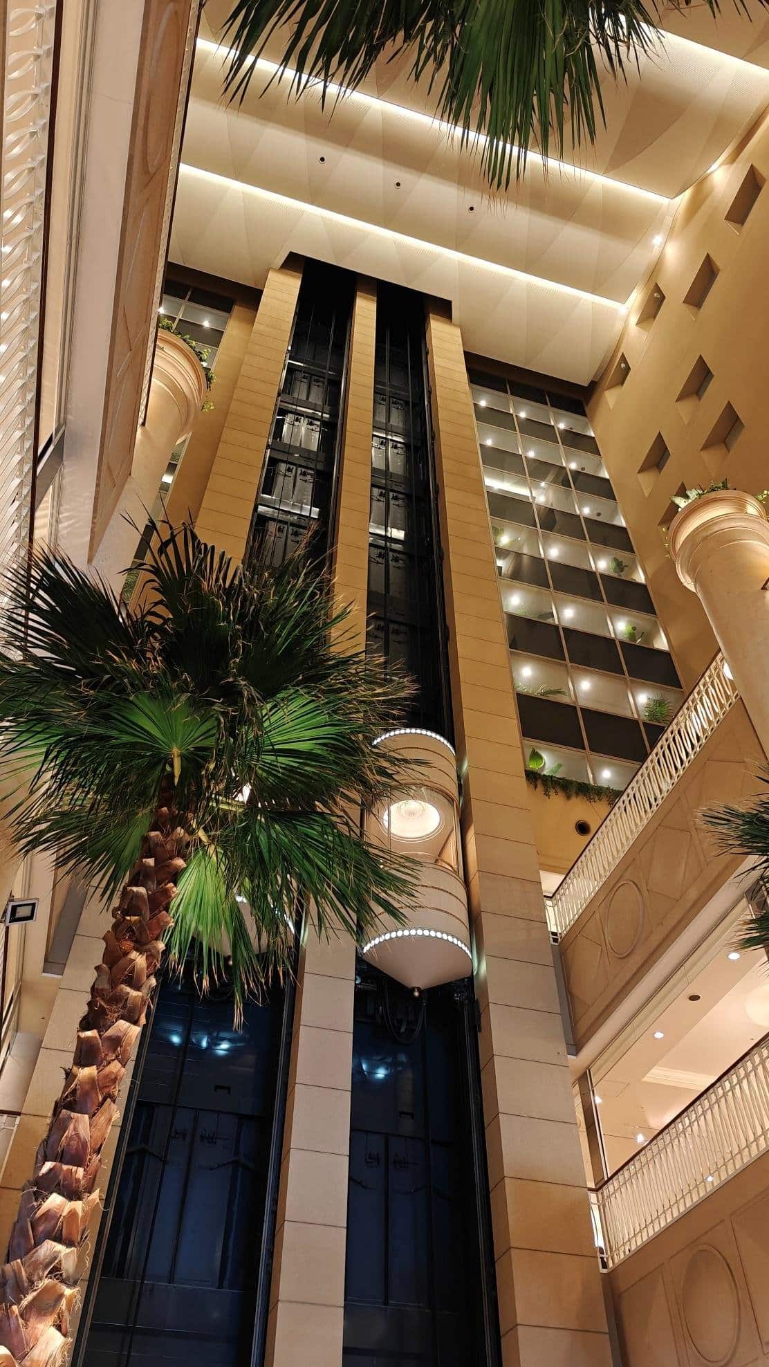 Modern atrium with elevators and palm