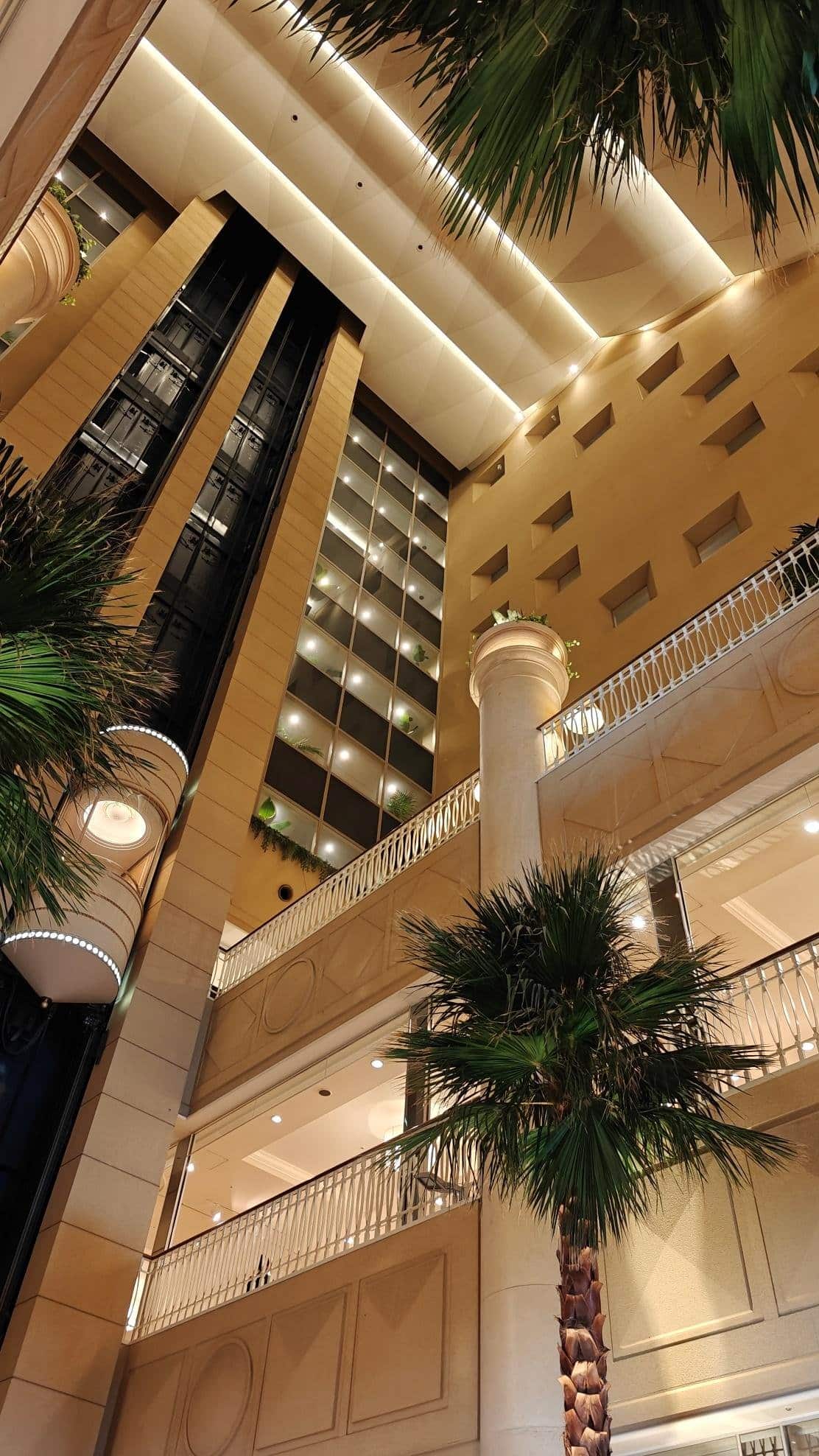 Modern atrium with palm trees