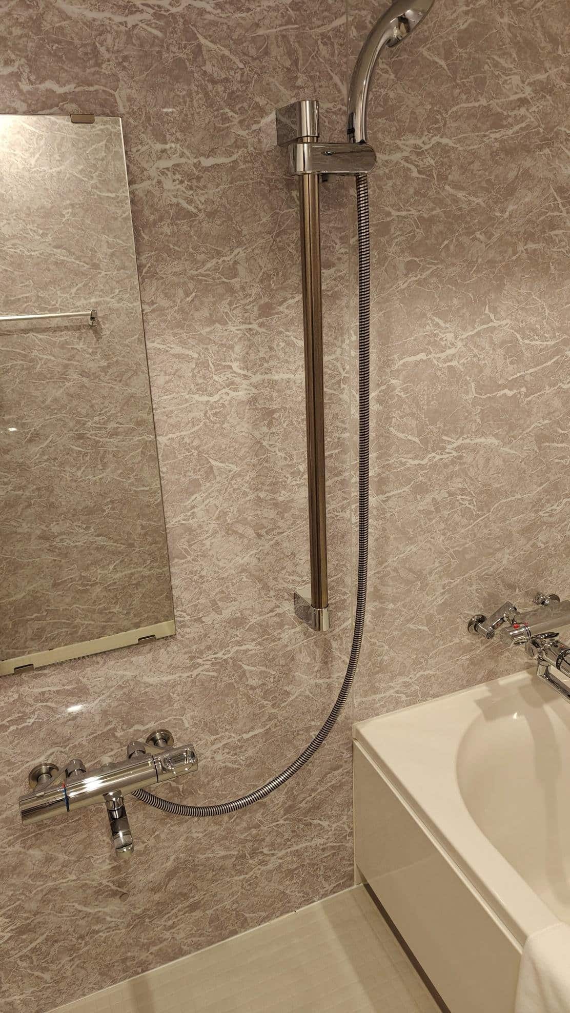 Modern bathroom with shower and tub