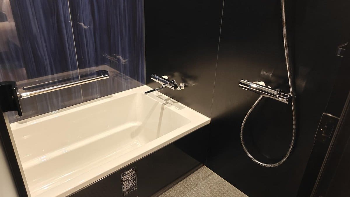 Modern bathtub with shower fixture