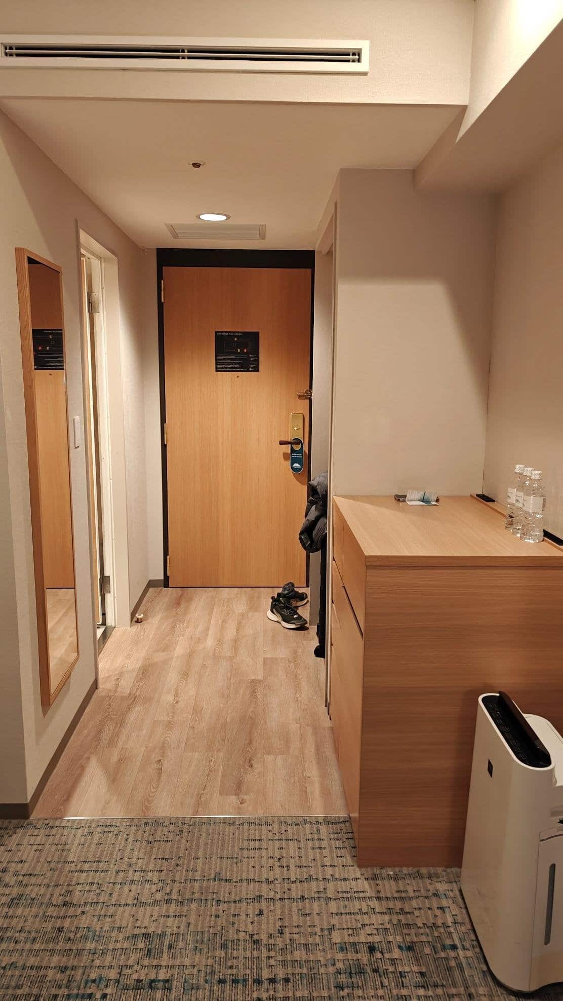 Modern hotel room entry area