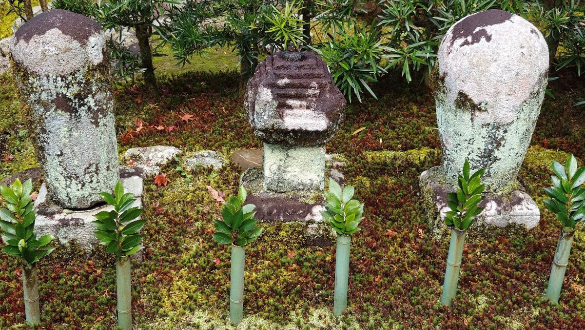 Moss-covered stone markers with green foliage in a garden