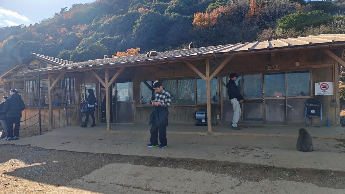 Mountain hut with people and monkey