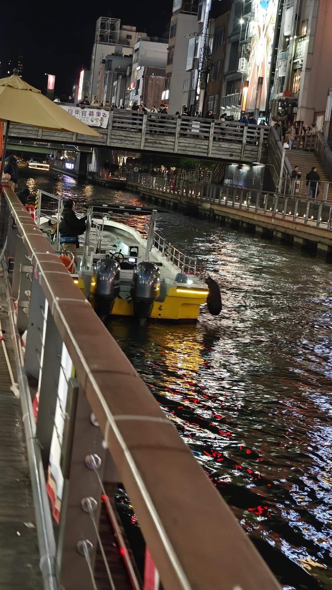 Night canal scene with vibrant lights