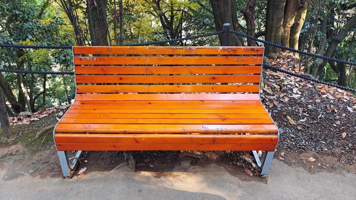 Orange bench in forest setting
