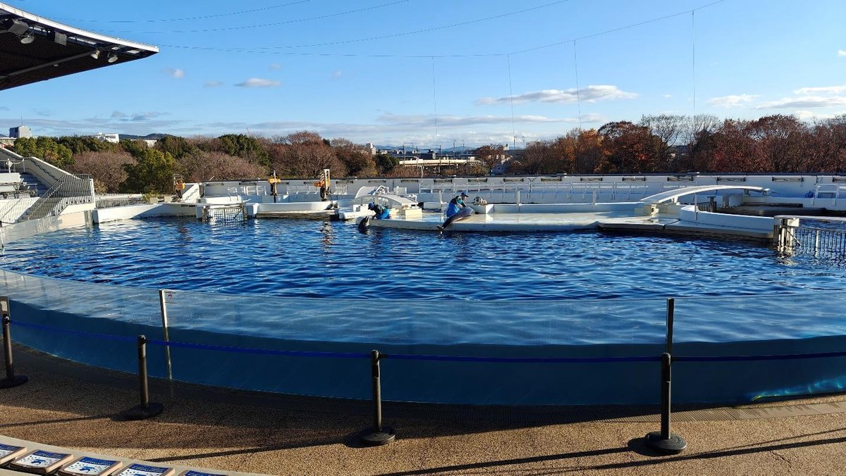 Outdoor dolphin pool under clear blue sky