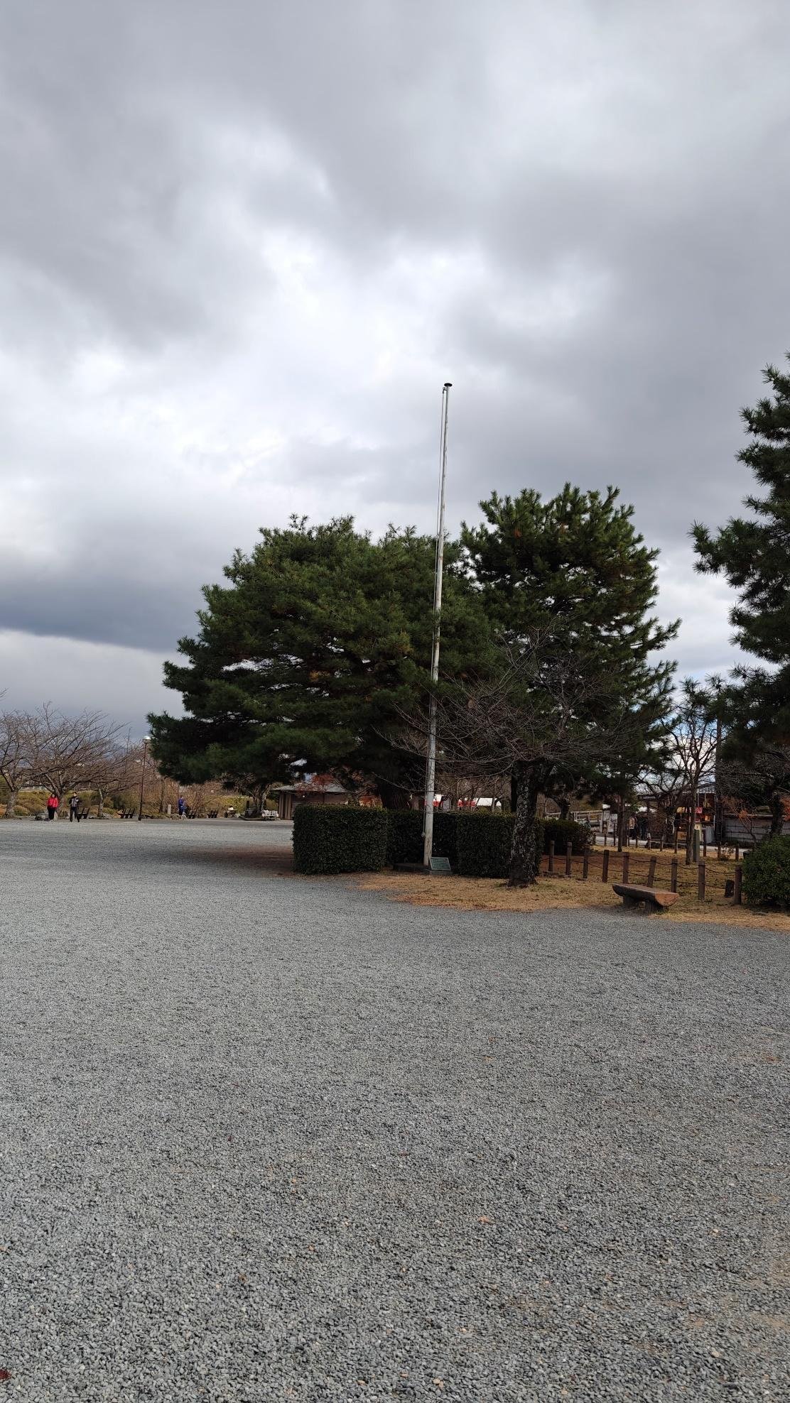 Overcast park with trees and gravel path