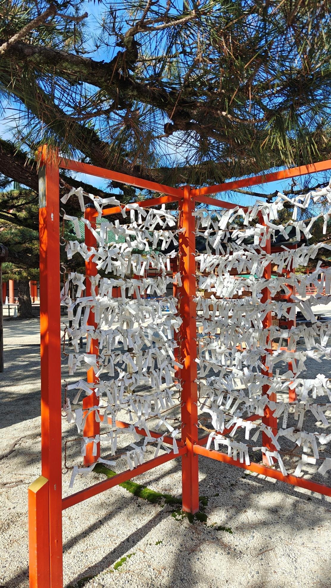 Paper fortunes tied on red wooden frame under tree branches