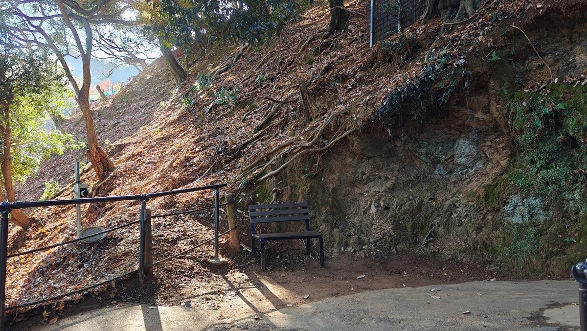 Park bench by leafy hill under trees