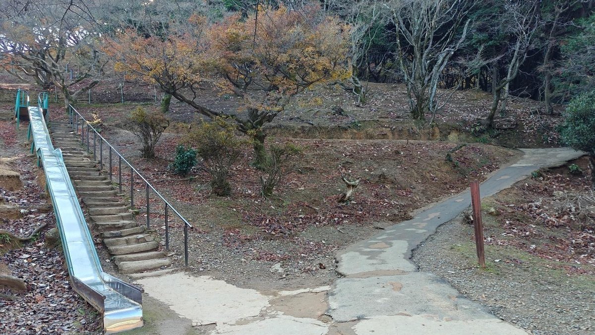 Park slide amid autumn trees