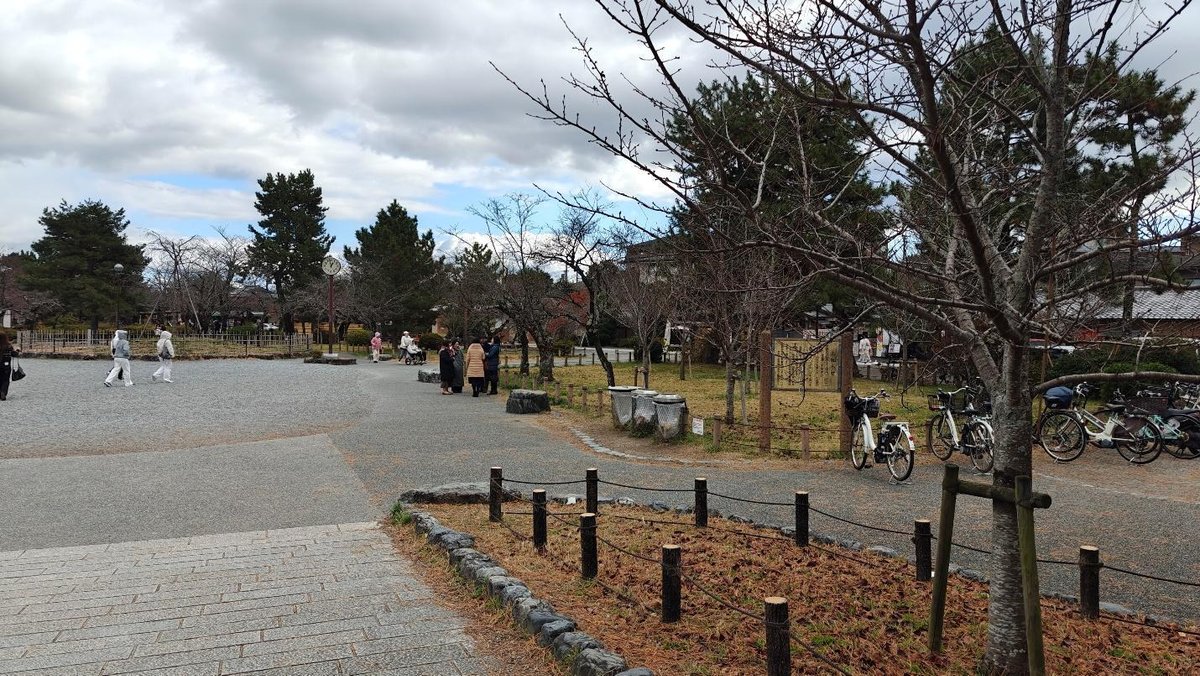 Park with bicycles, bare trees, people walking under cloudy sky