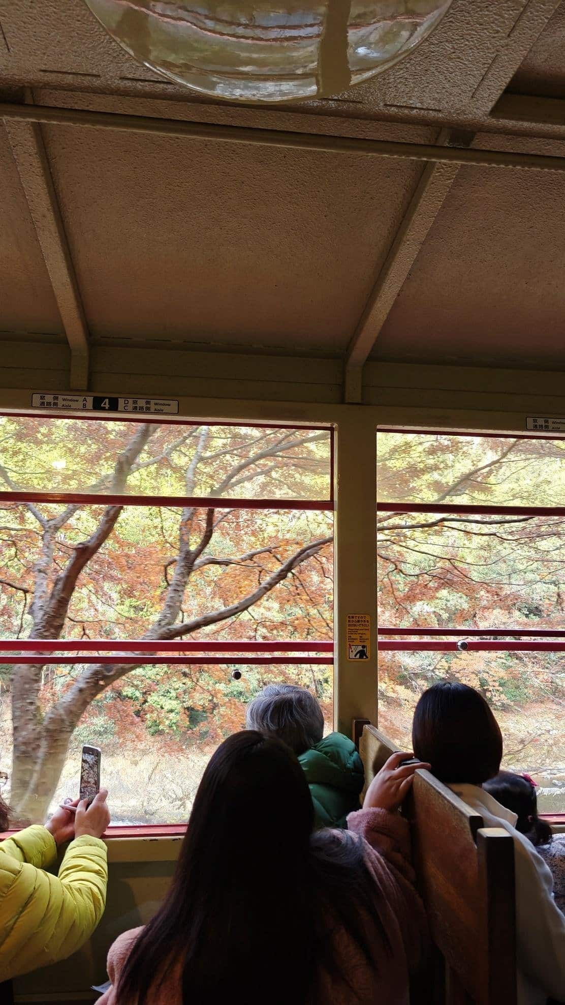 Passengers in train admire autumn trees through windows