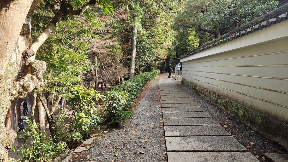 Pathway beside wall in lush, green forest setting