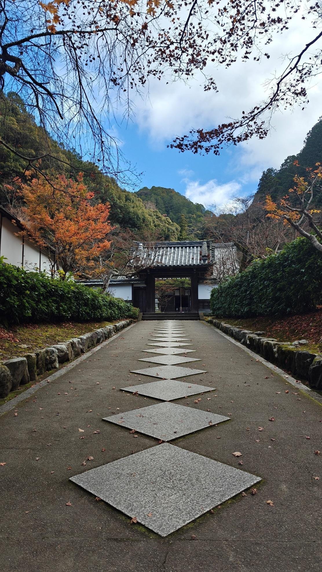 Pathway lined with autumn trees leading to traditional gate