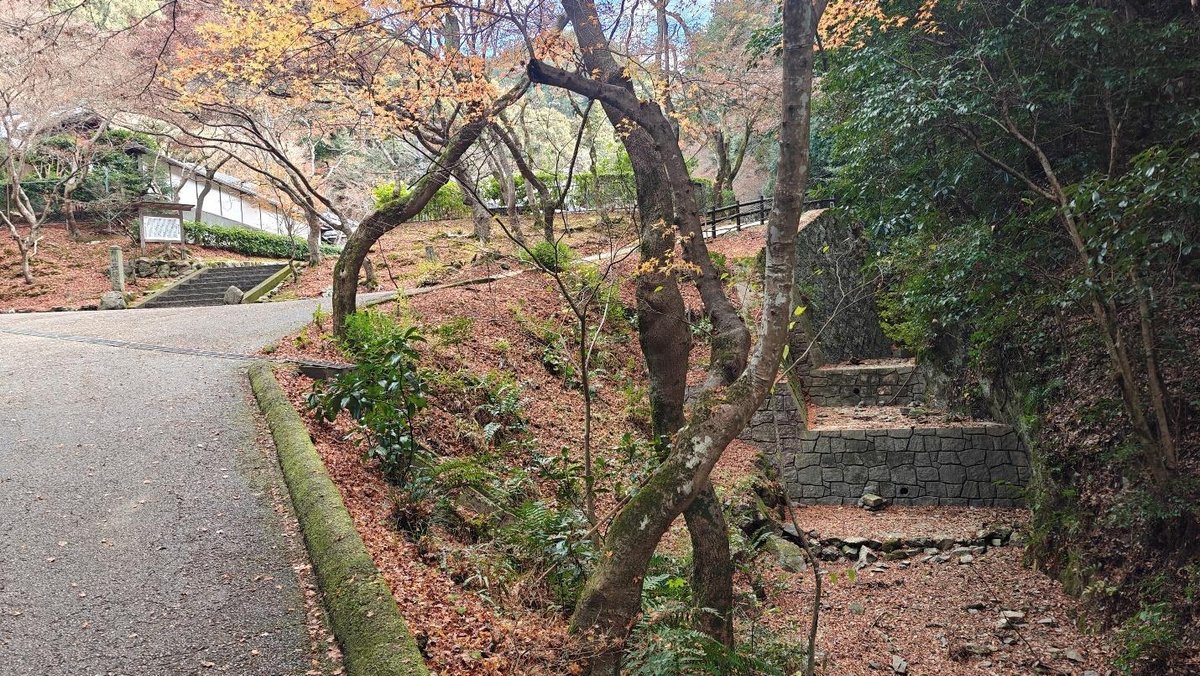 Pathway through autumn forest with stone steps and trees
