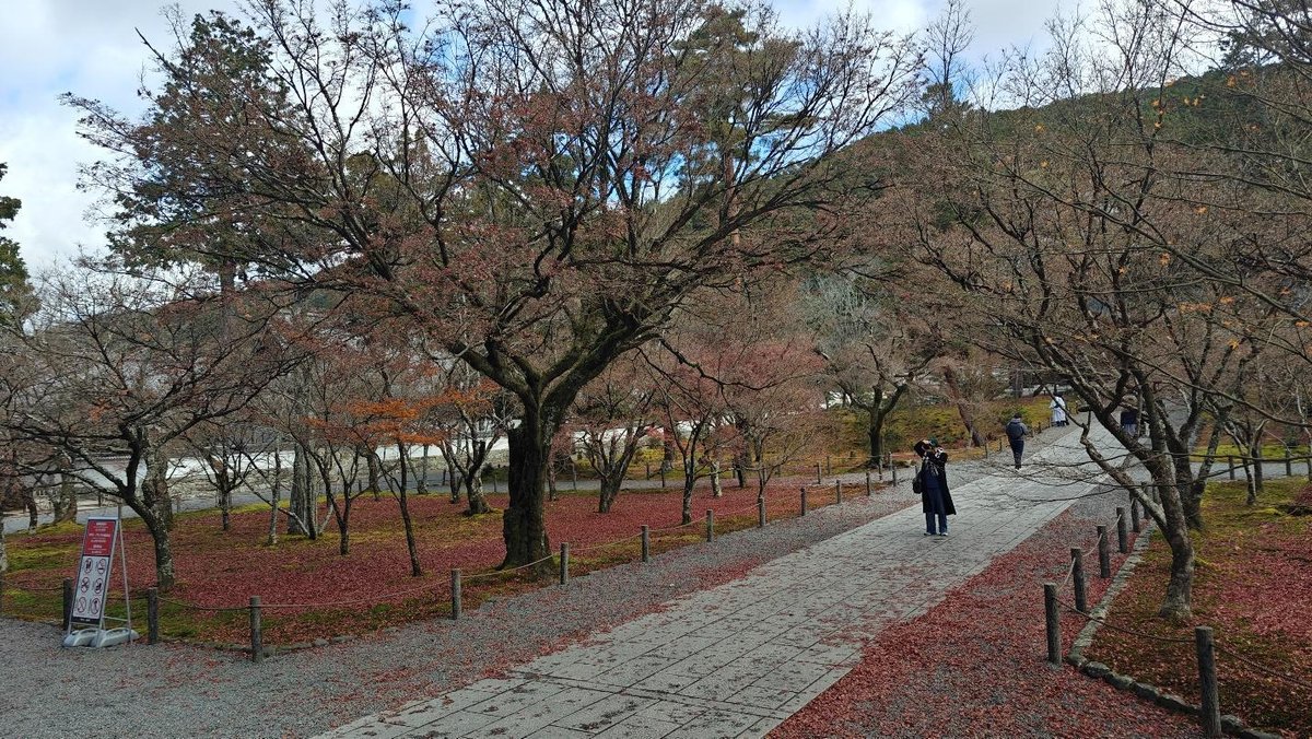 Pathway through park with bare trees and autumn leaves