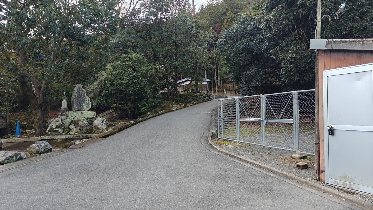 Paved road curving through dense green trees