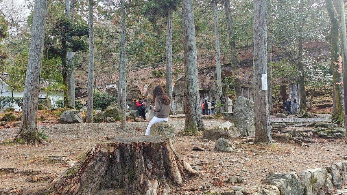 People exploring a forested park with stone structures
