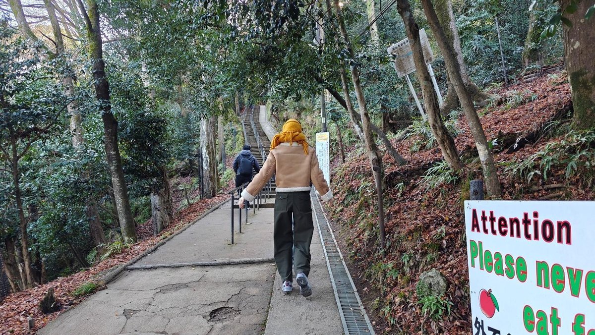 People hiking in forest with signs