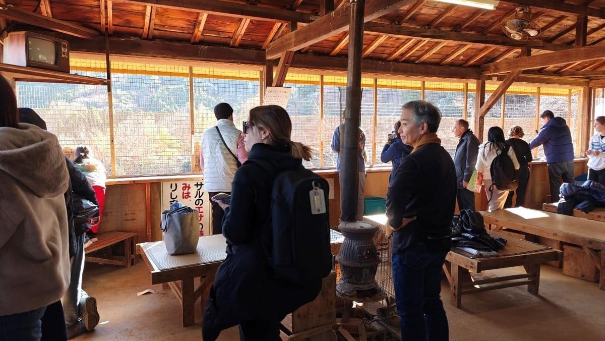 People observing mountain view indoors
