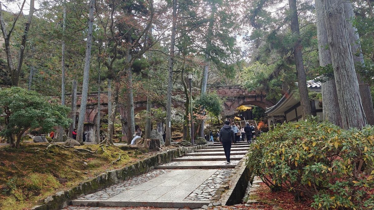 People walking on a forest path near an ancient brick aqueduct