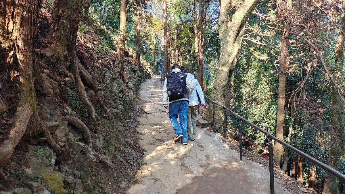 People walking on forest path