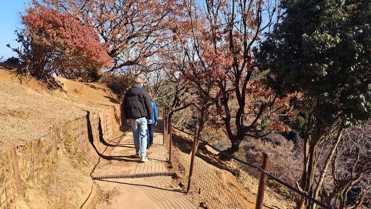 People walking through autumn forest
