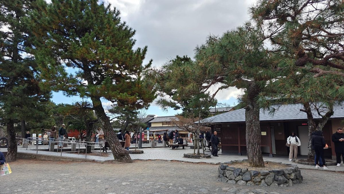 People walking under pine trees in a historical courtyard