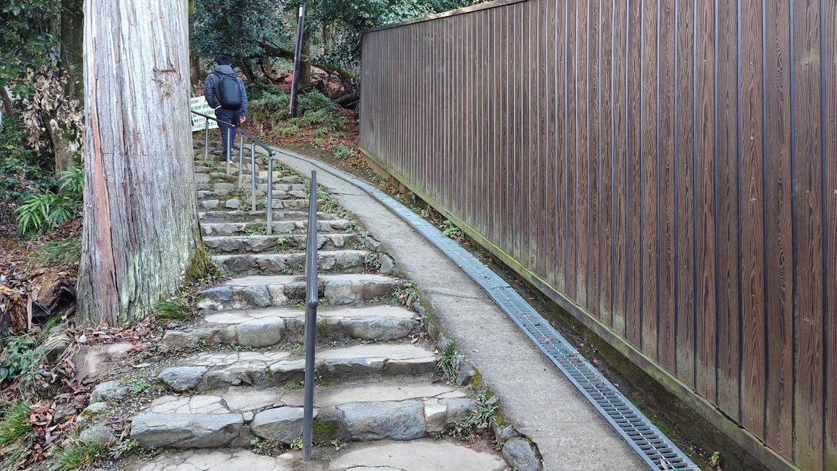 Person walking on stone path by fence